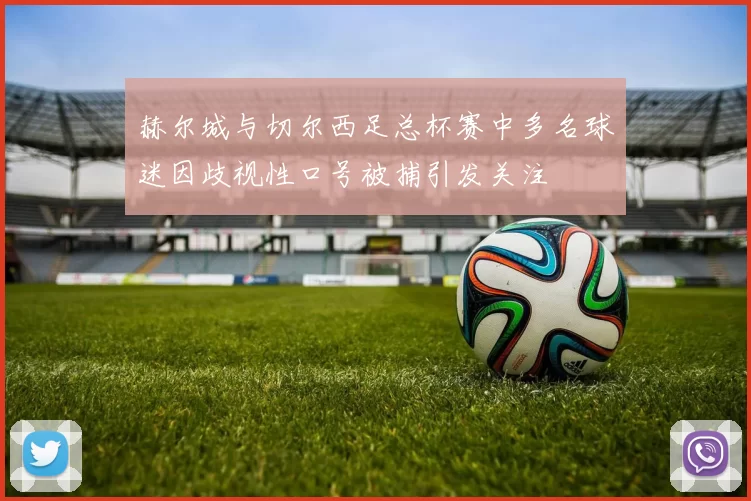 赫尔城与切尔西足总杯赛中多名球迷因歧视性口号被捕引发关注