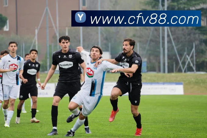 App Interface Preview